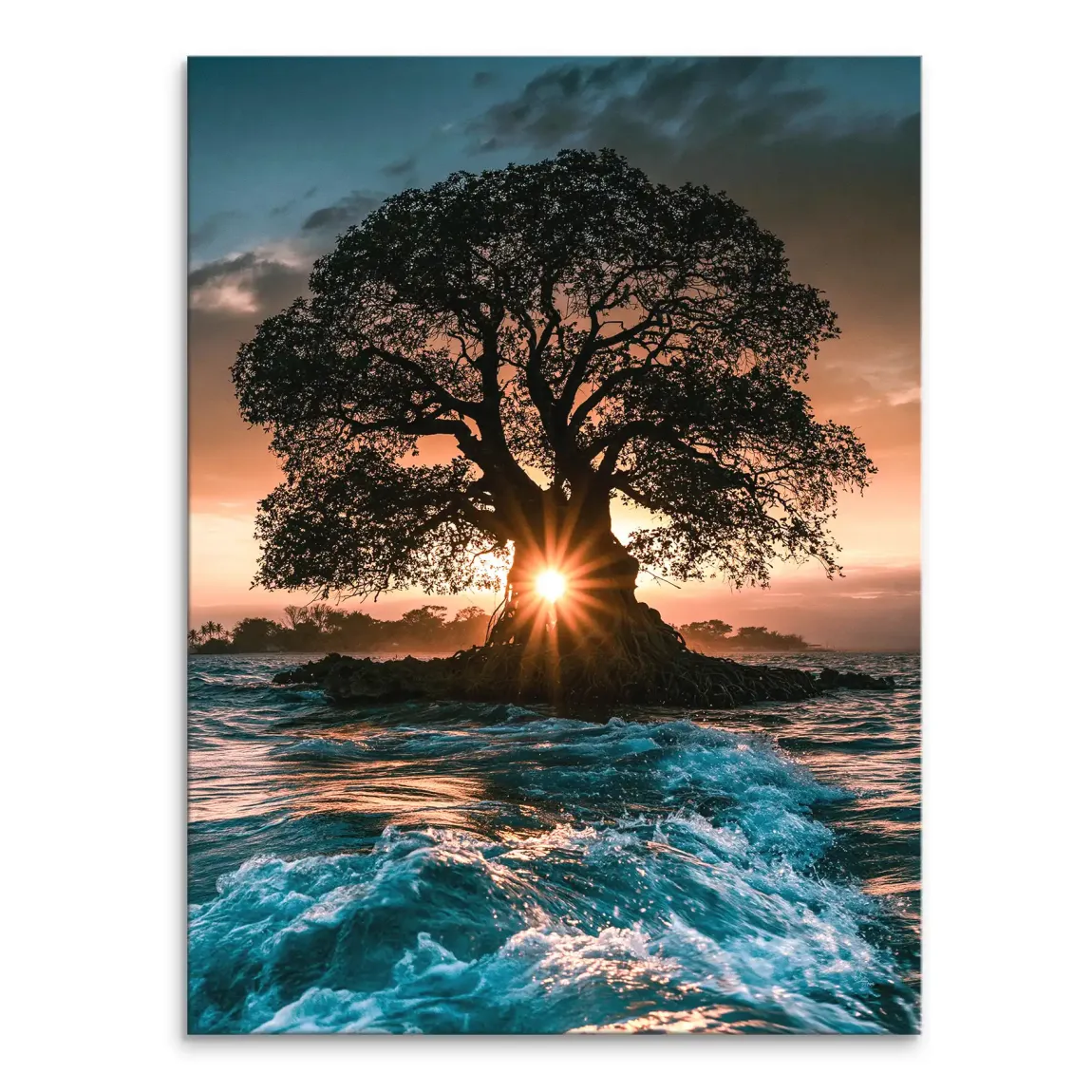 Sonnenbaum Leinwand Bild