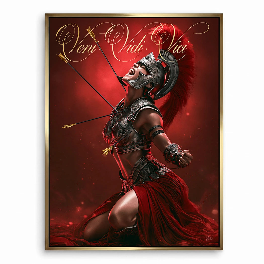 Veni Vidi Vici Gladiatorin Leinwand Bild