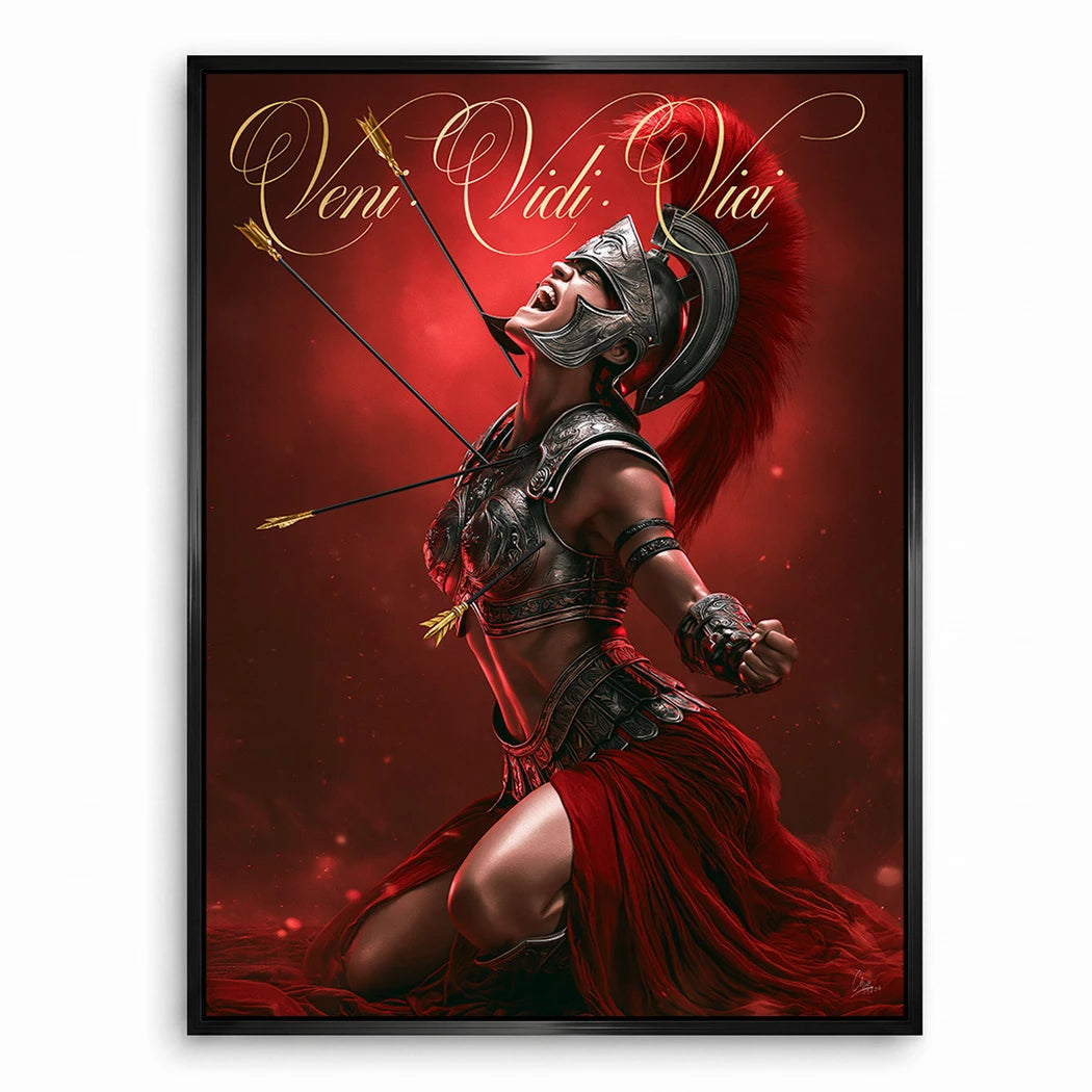 Veni Vidi Vici Gladiatorin Leinwand Bild