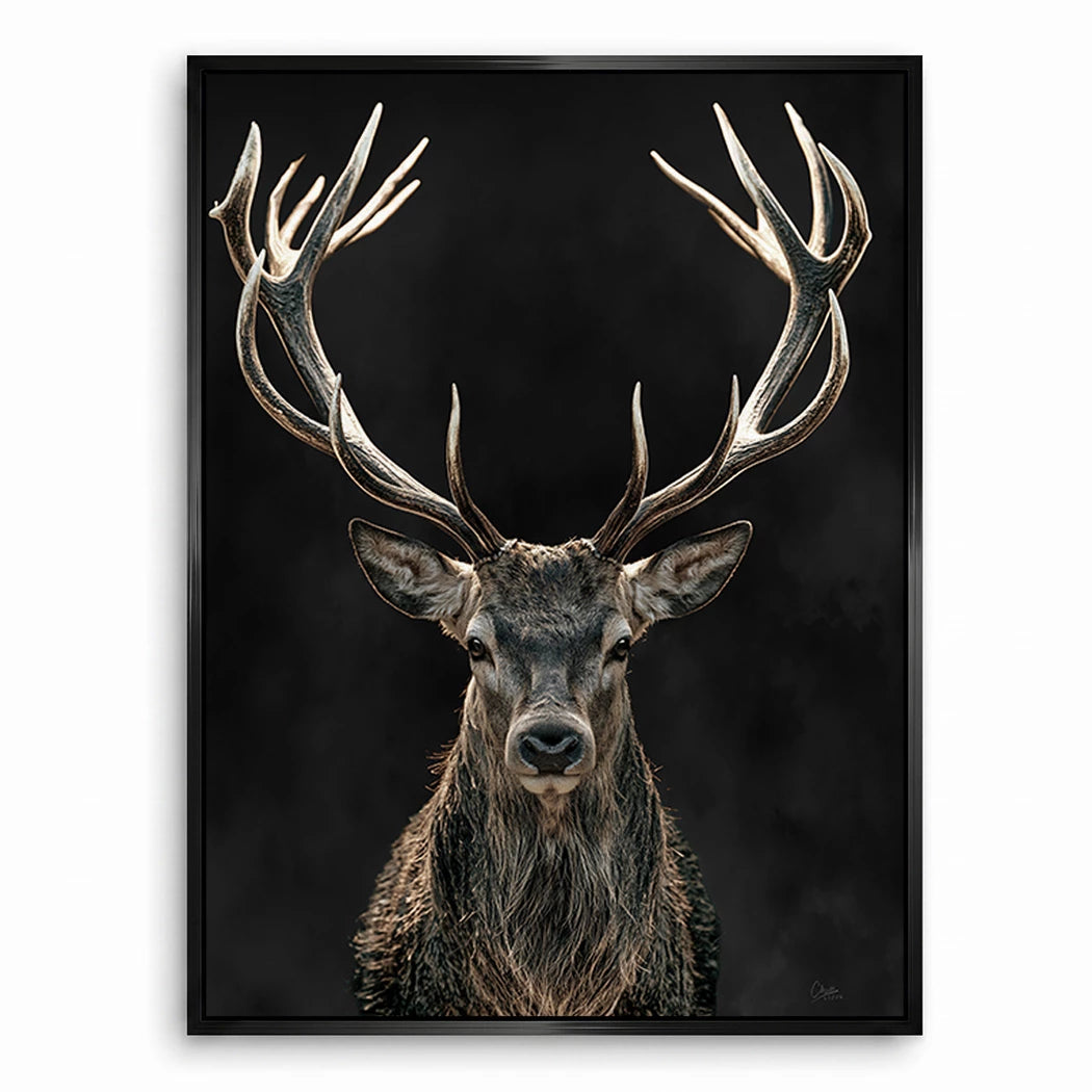 Hirsch Black Art Leinwand Bild