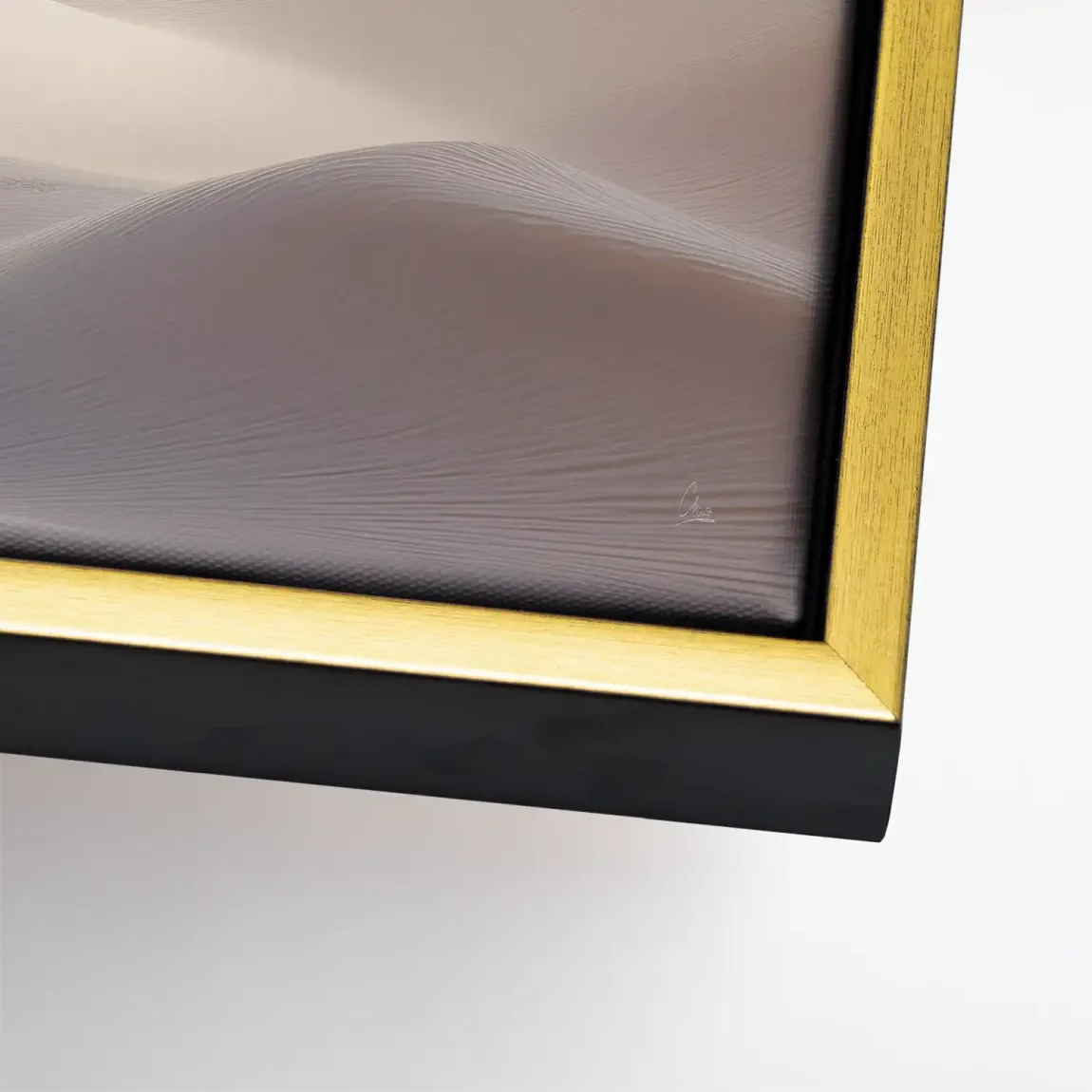 Desert Light Leinwand Bild