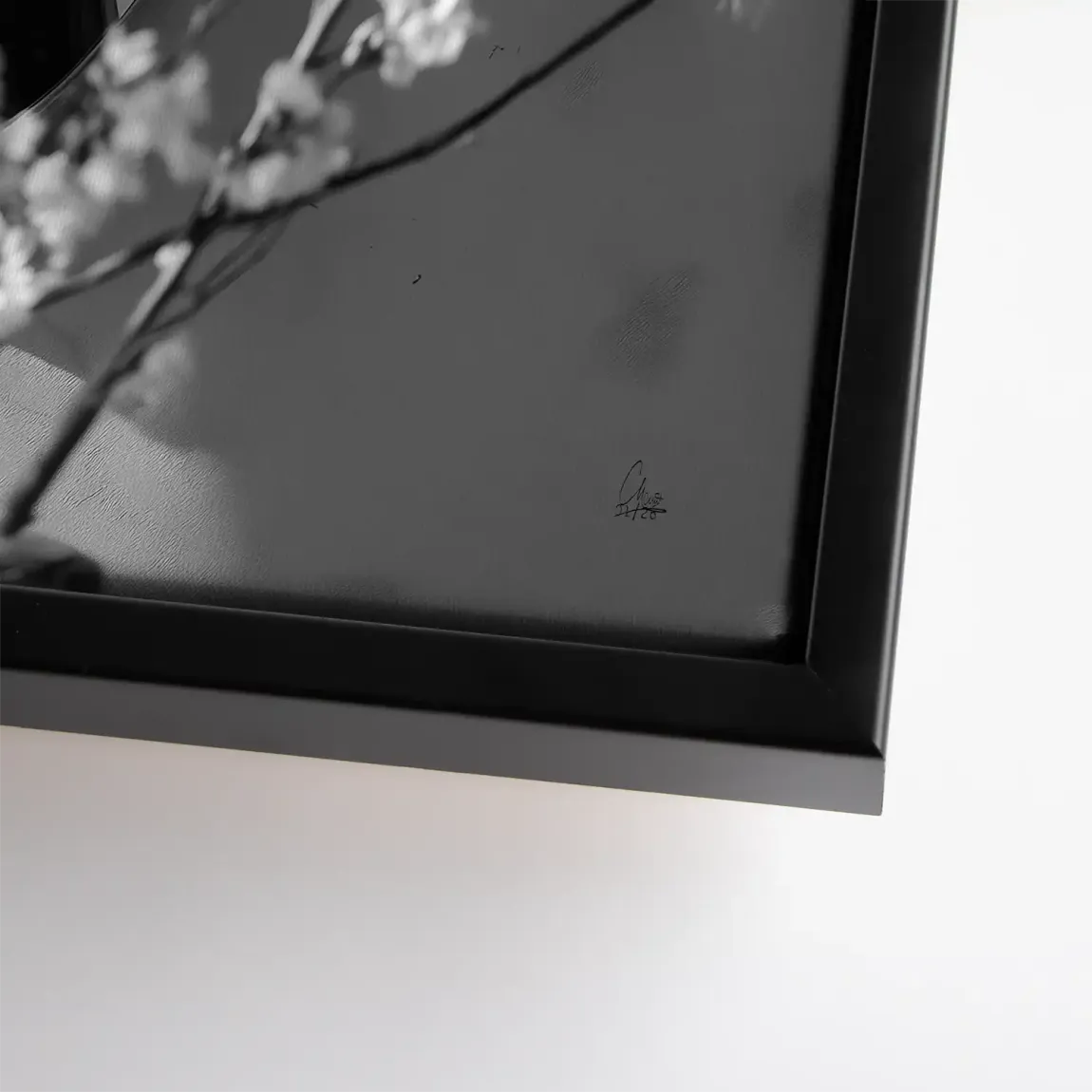 Velvet Muse Leinwand Bild