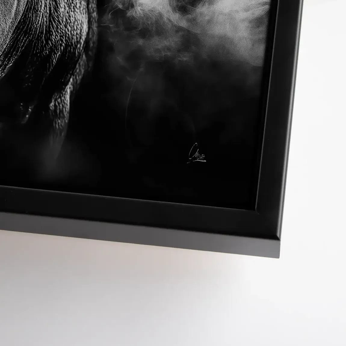 Black Bull Vision  Leinwand Bild