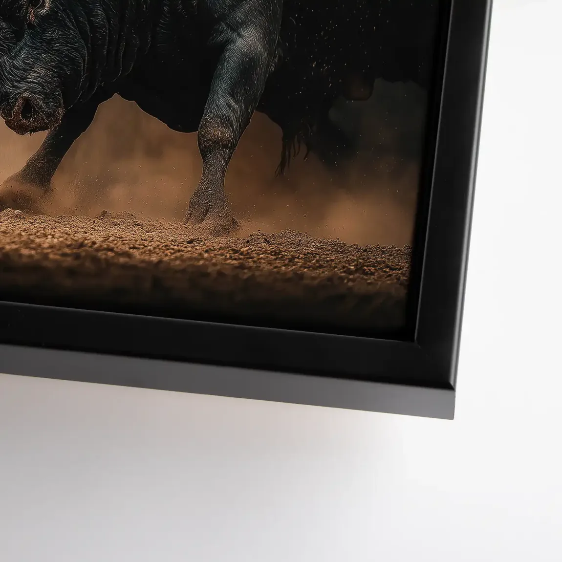 Bulls of Valor Leinwand Bild