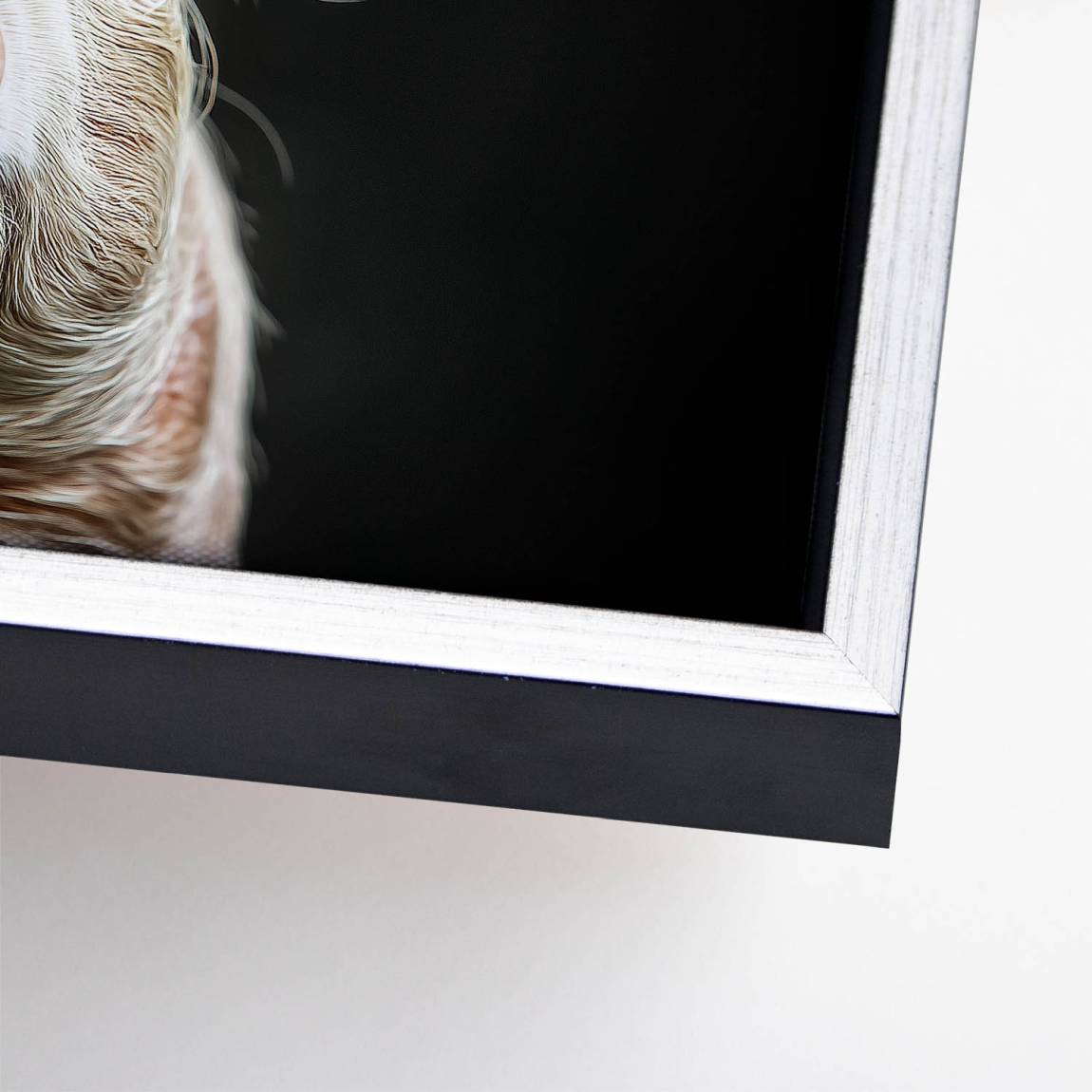 Blüten Schwein Leinwand Bild