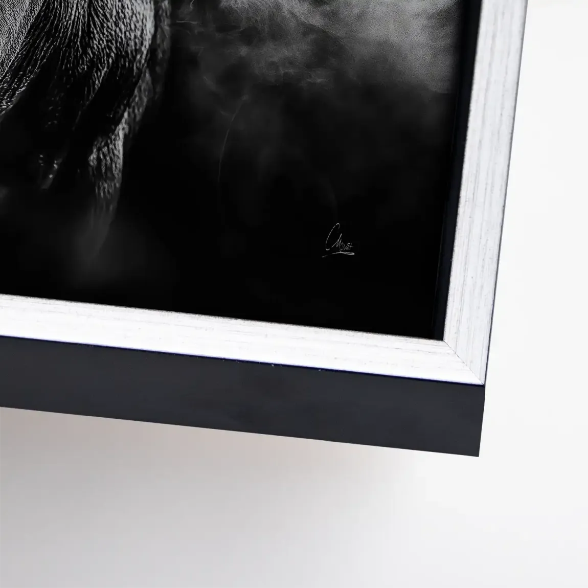 Black Bull Vision  Leinwand Bild