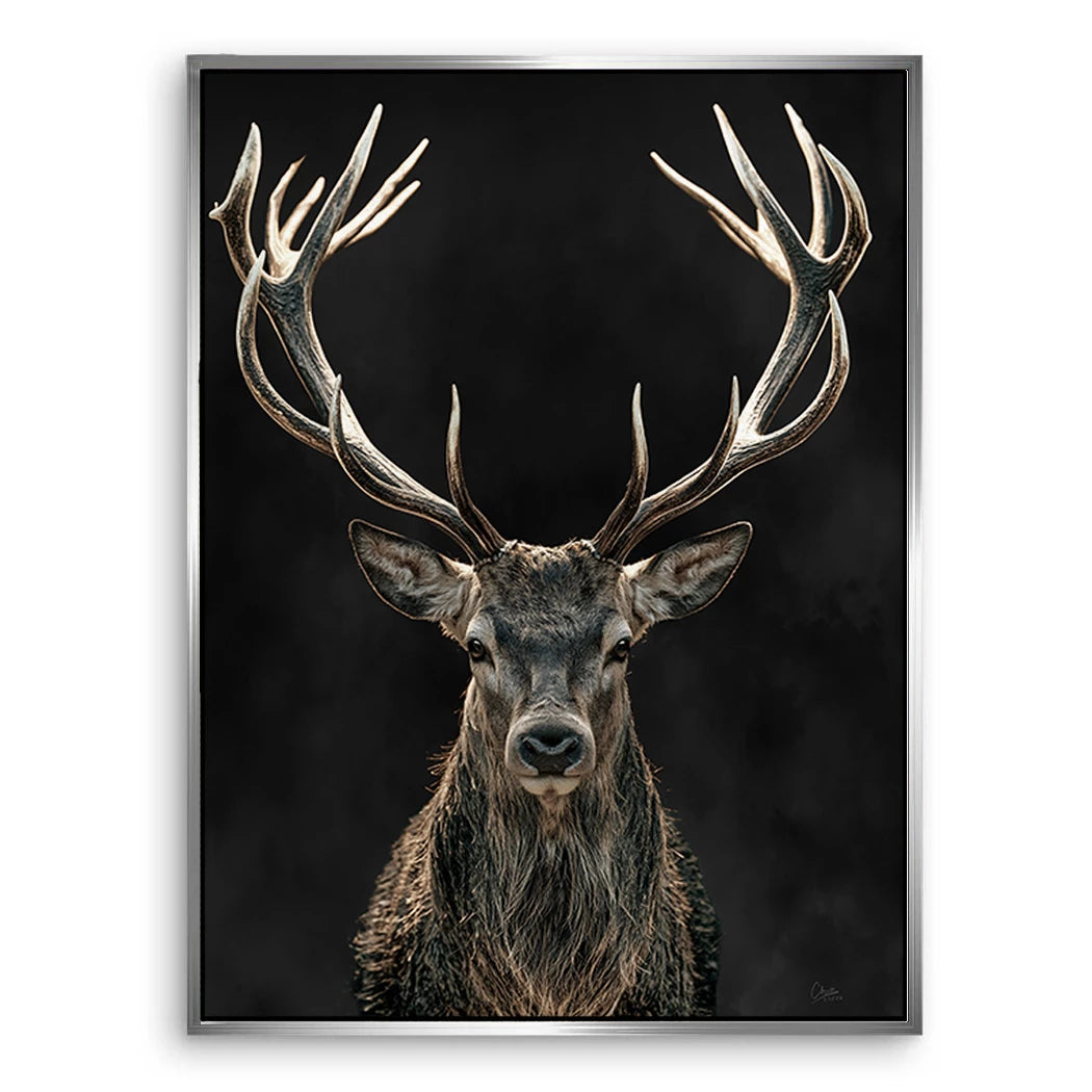 Hirsch Black Art Leinwand Bild
