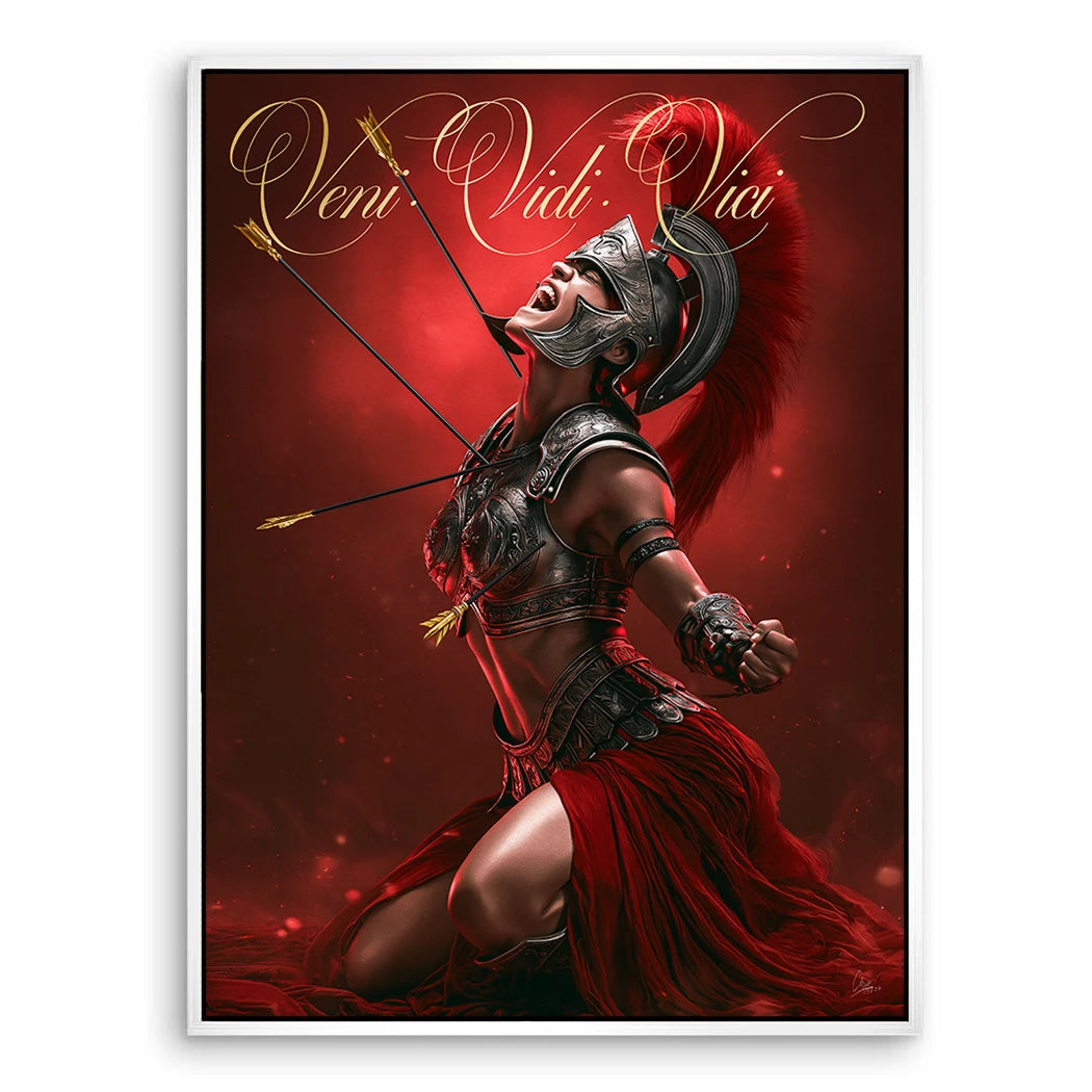 Veni Vidi Vici Gladiatorin Leinwand Bild