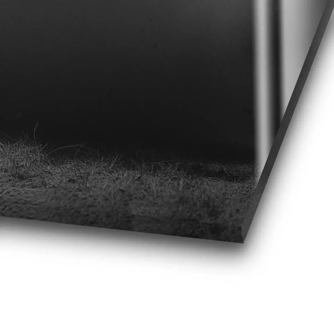Stier Noir Acrylglasbild