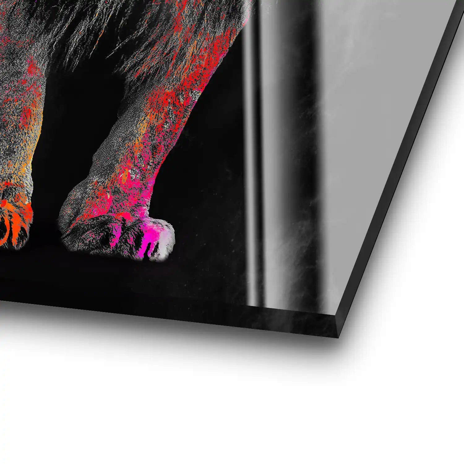 Lion Color Style Acrylglas Bild INGALERIE