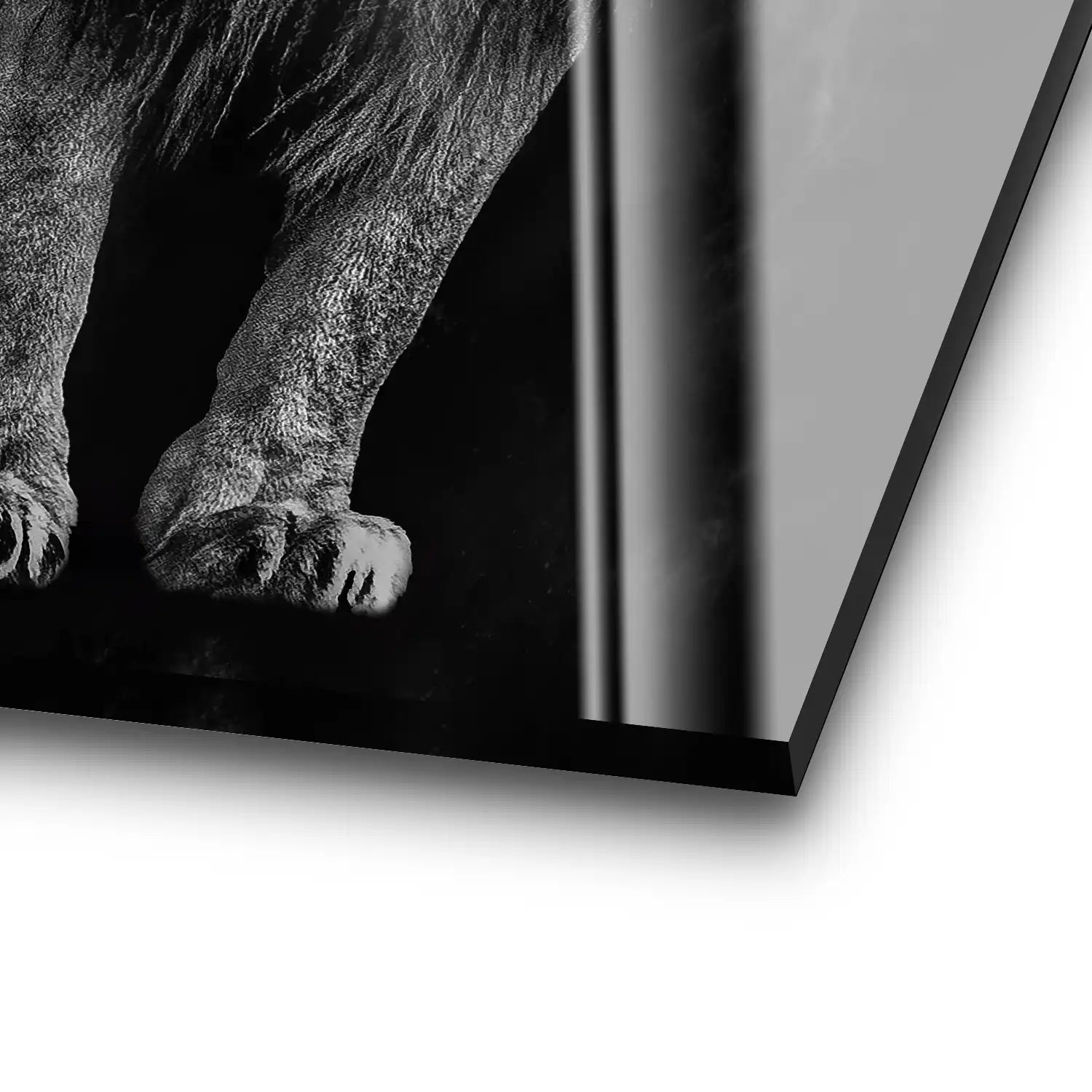 Lion Black Style Acrylglas Bild INGALERIE