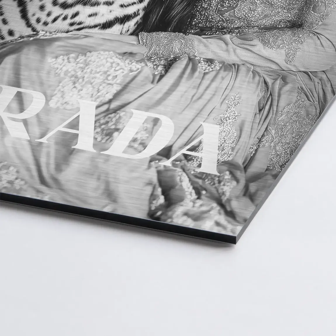 Noir Allure Alu Dibond Bild gebürstet