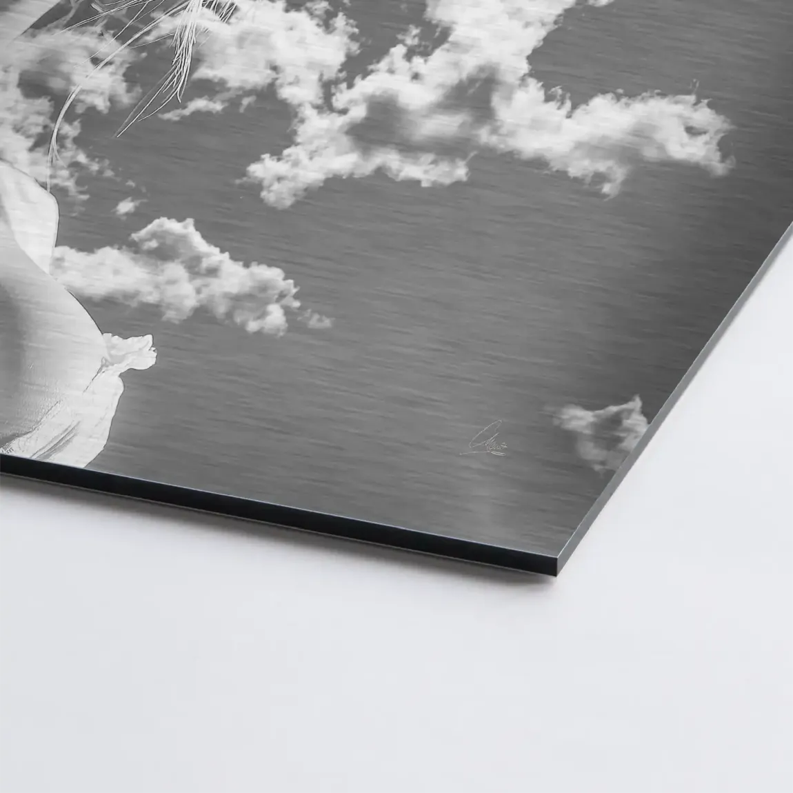 Sky Bloom AluDibond Gebürstet