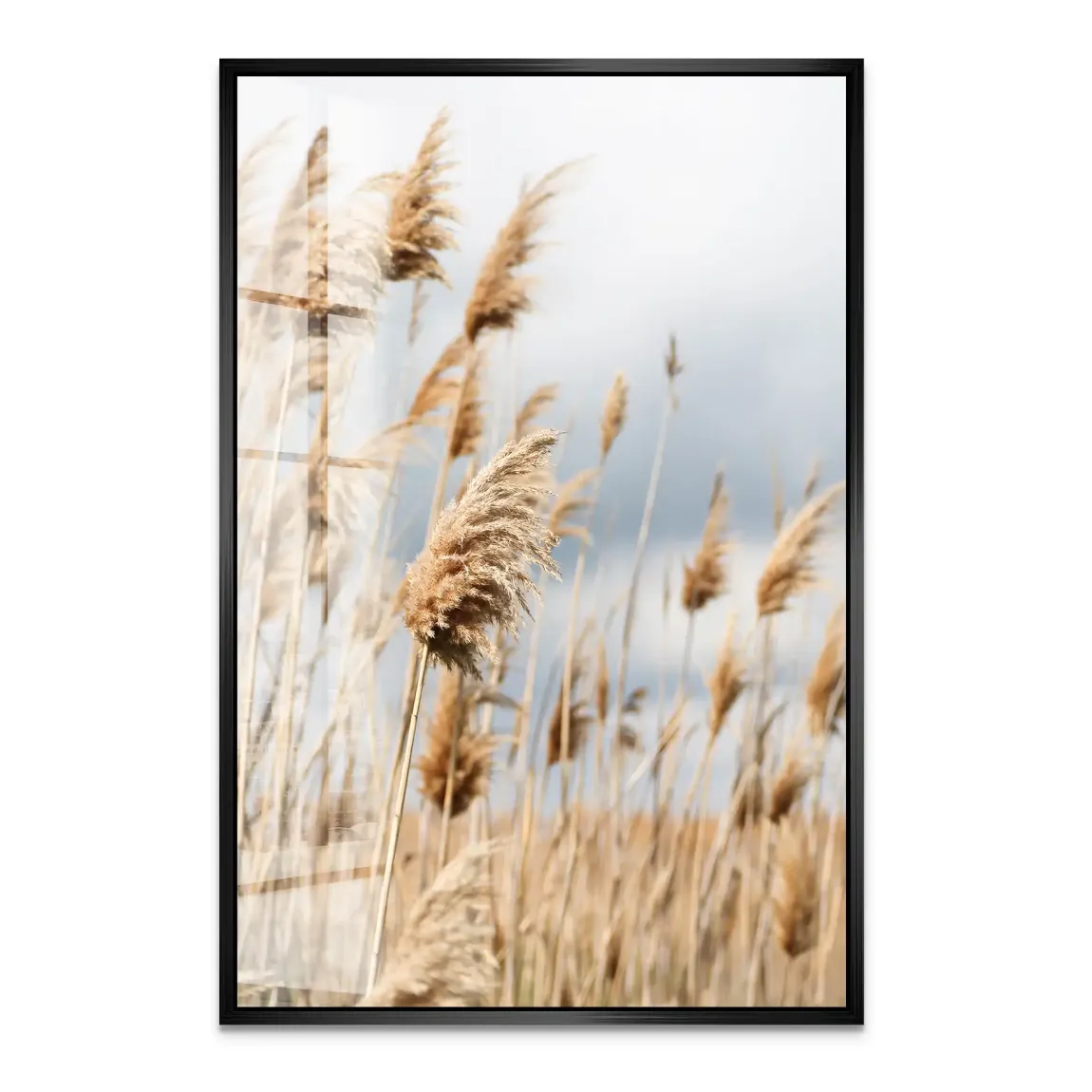 Whispering Reeds Acrylglas Bild - INGALERIE | Dein Onlineshop für moderne Wandbilder