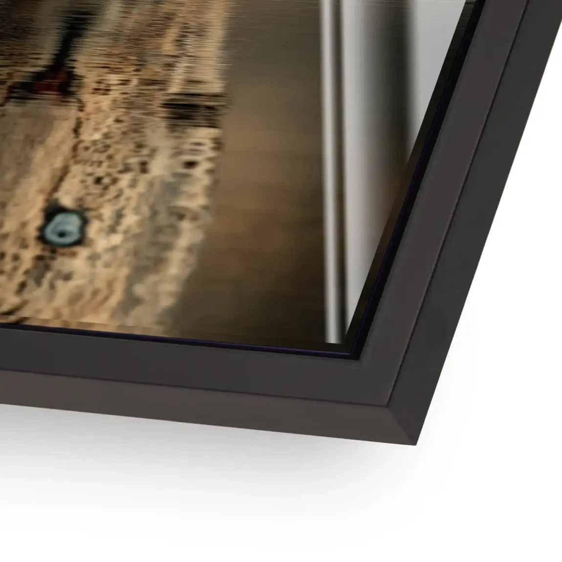 Silent Leopard Acrylglasbild