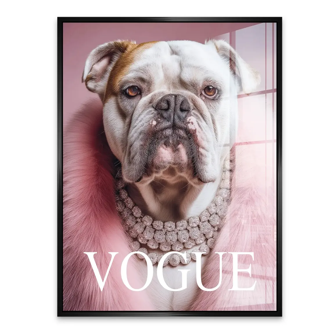 Bulldogge Vogue Acrylglasbild