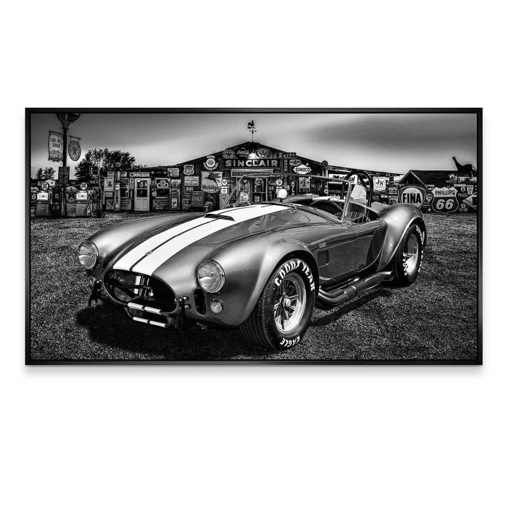 AC Cobra Abstrakt Silver Aludibond Bild INGALERIE