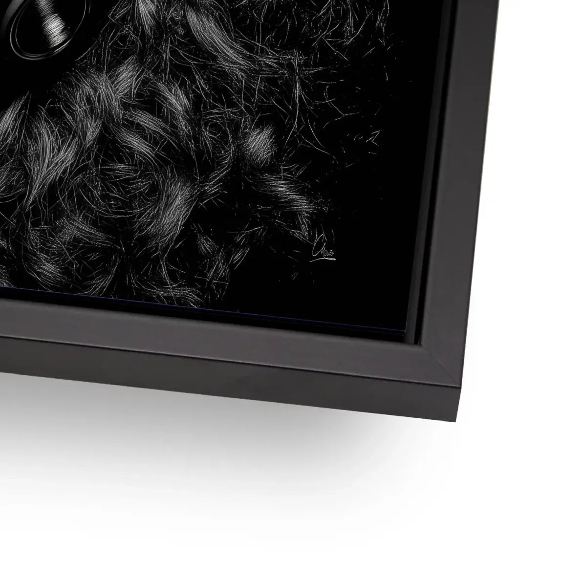 Midnight Harmony Aludibond Bild