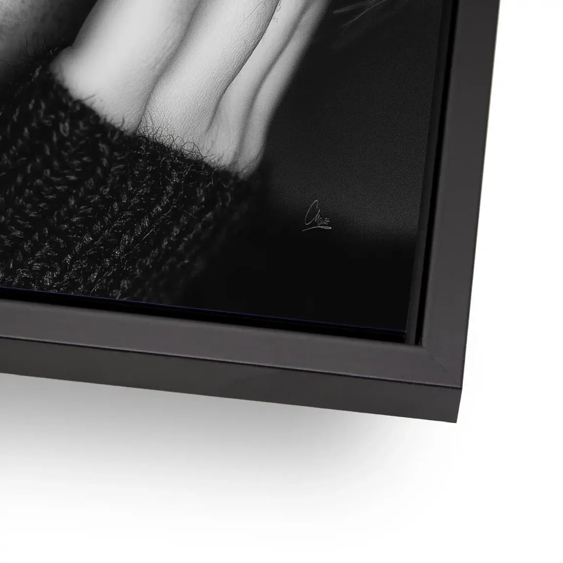 Silent Graze Aludibond Bild