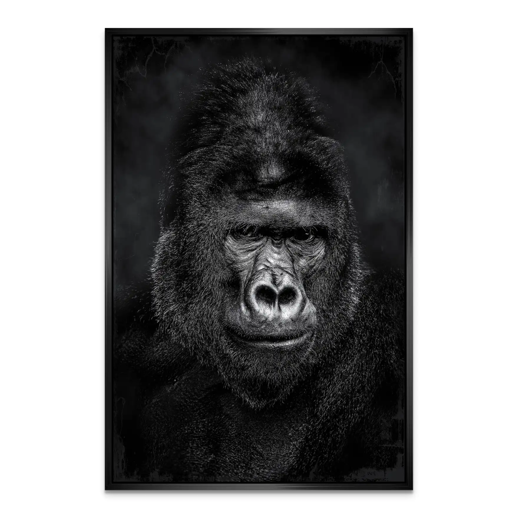Gorilla Abstrakt Black Style AluDibond Bild INGALERIE