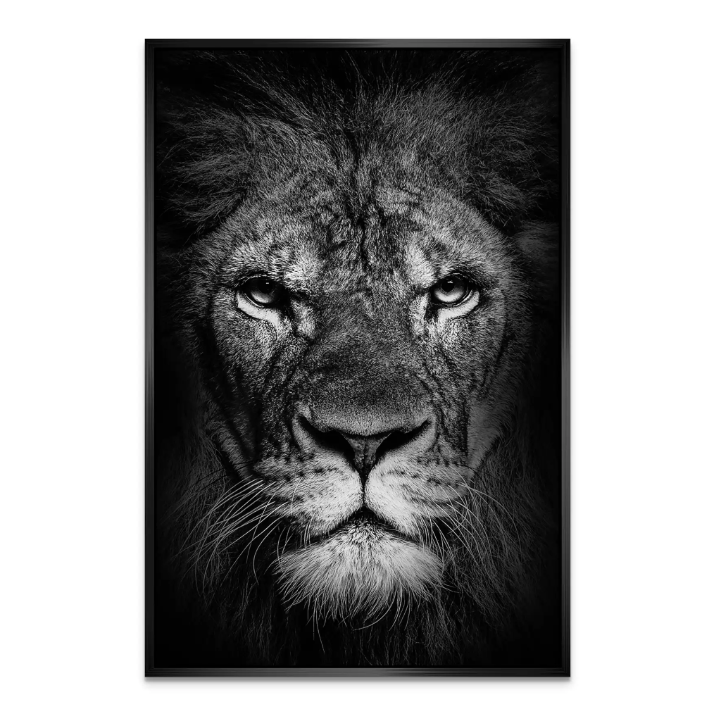 Lion Head AluDibond Bild INGALERIE