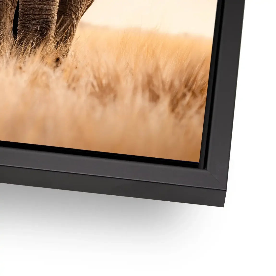 Savanne Elefant Alu Dibond Wandbild