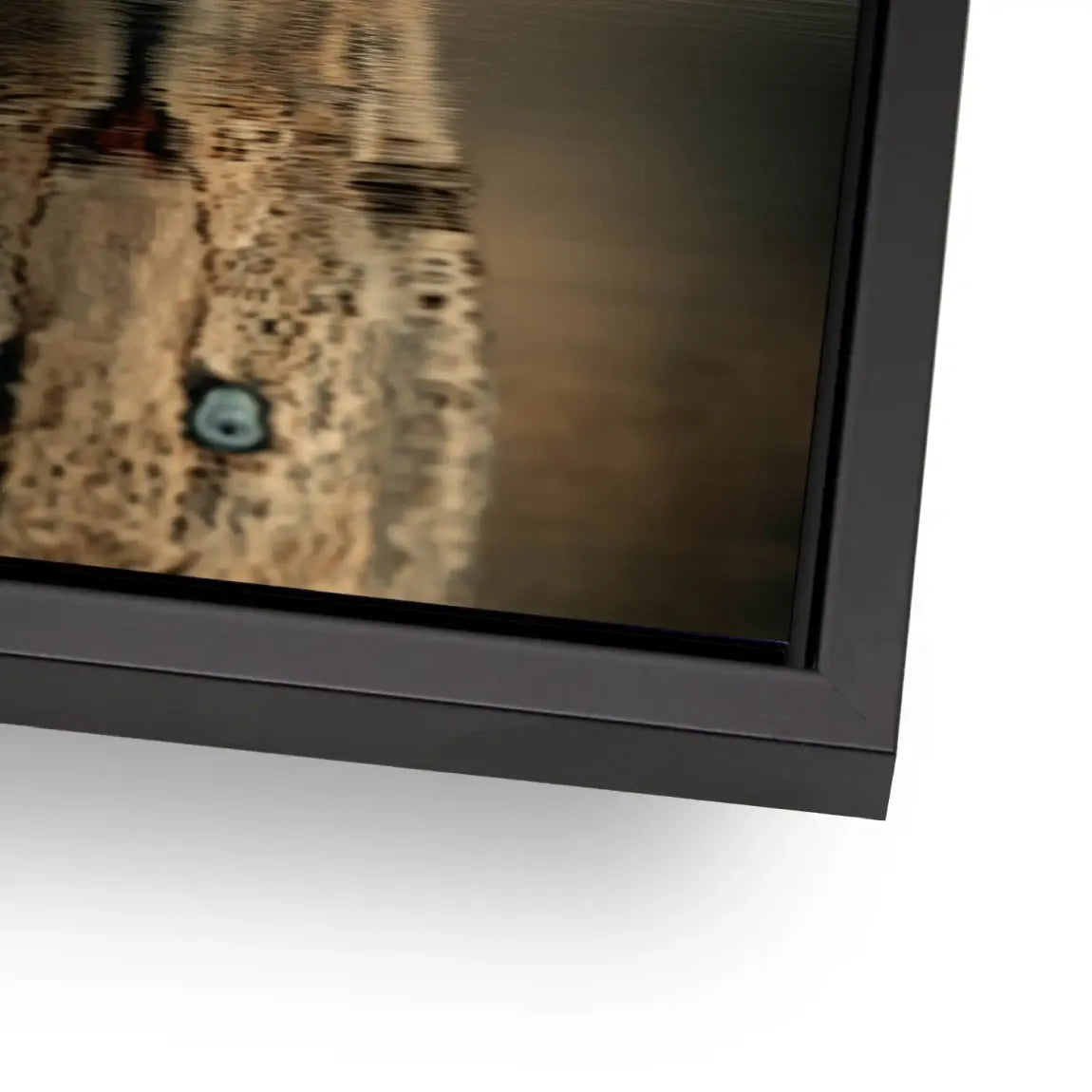 Silent Leopard Alu Dibond Bild