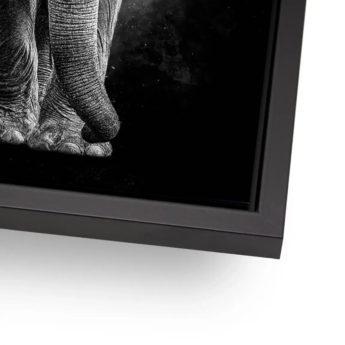 Elefant Noir Alu Dibond Wandbild