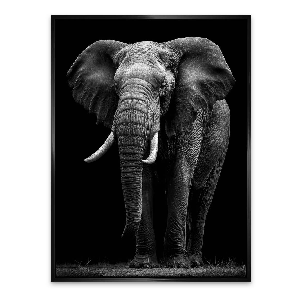 Black Elefant Alu Dibond Wandbild