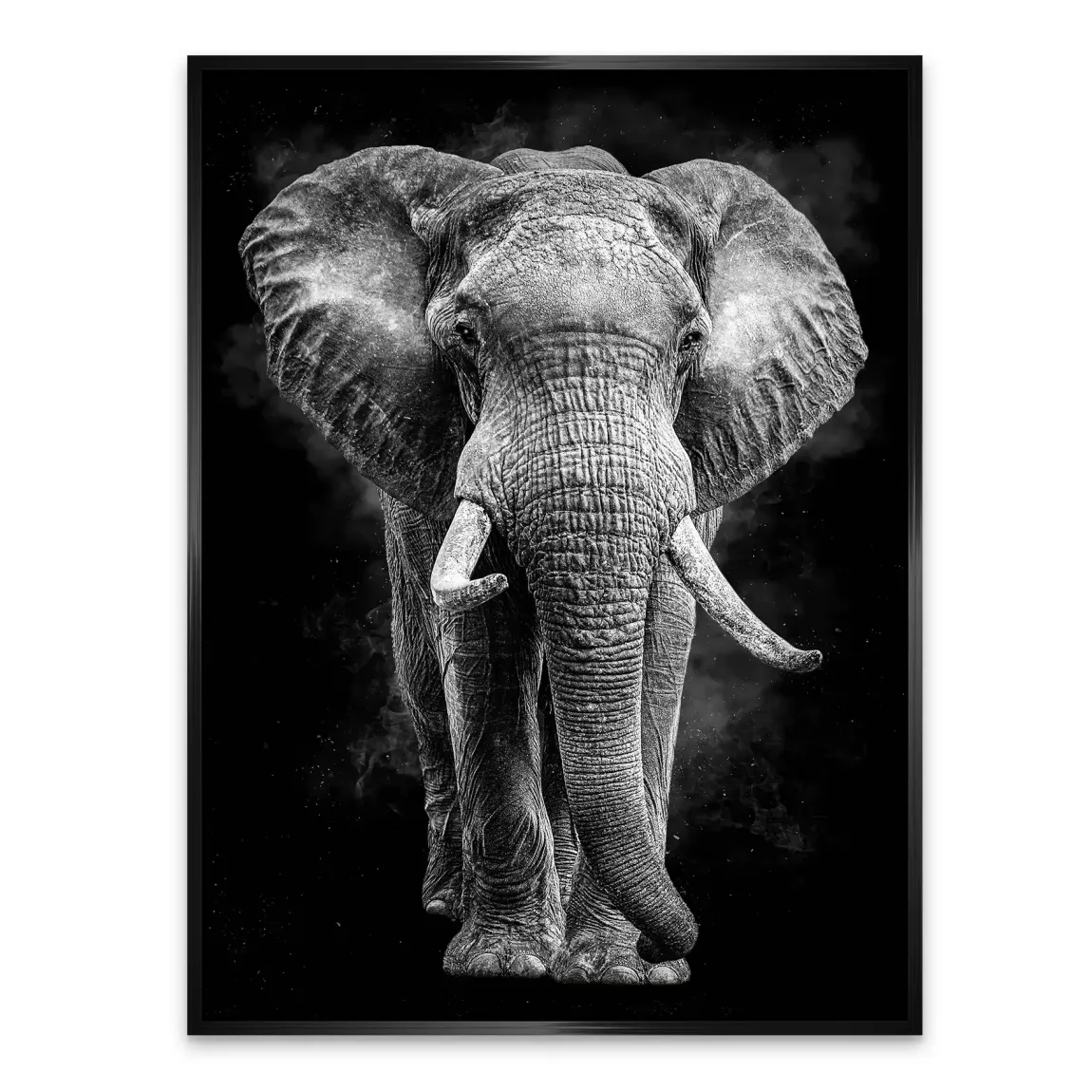 Elefant Noir Alu Dibond Wandbild