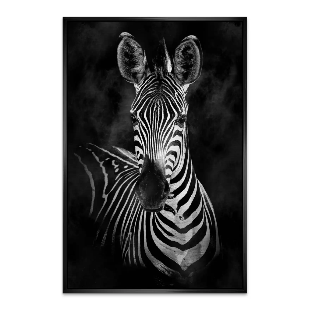 Zebra Black Style AluDibond Gebürstet INGALERIE