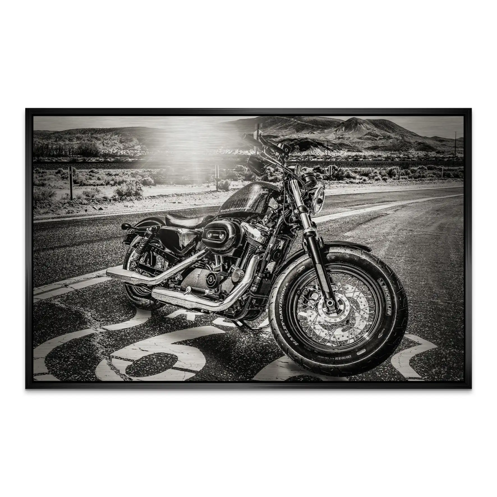 Route Heritage Edition – Harley Alu gebürstet Bild INGALERIE