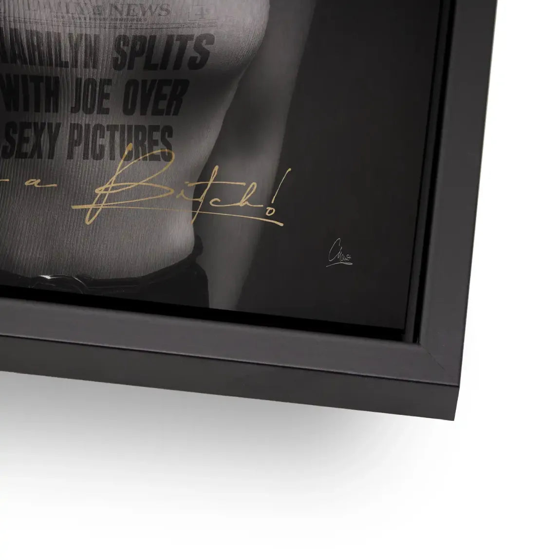 Marilyn Skandal Alu Gebürstet Bild