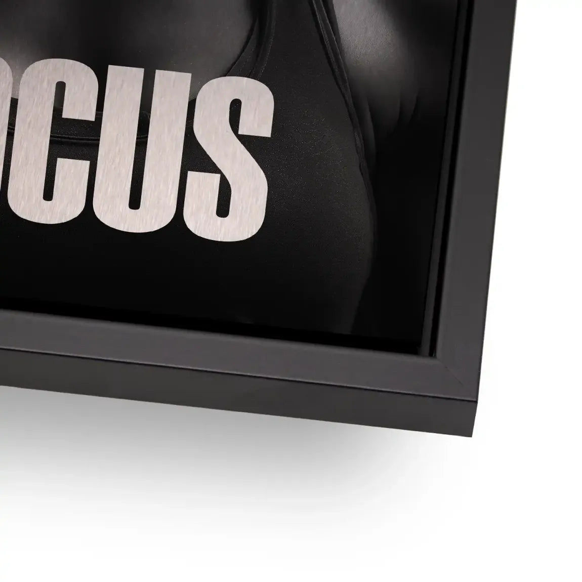 Focus Athletin Alu Gebürstet Bild