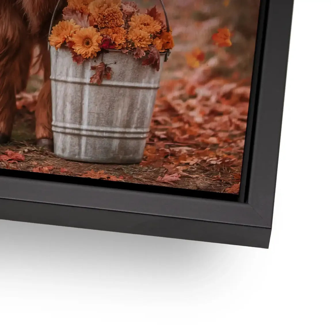 Herbstliebe Highland Alu Gebürstet Bild