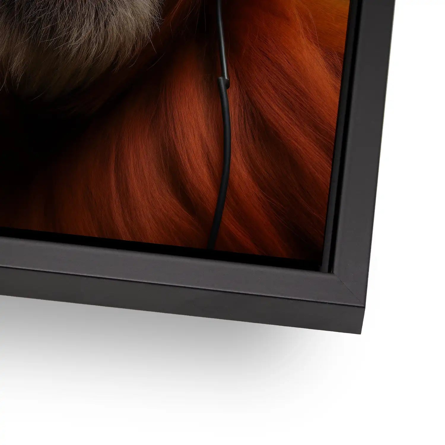 Music Monkey Aludibond Gebürstet INGALERIE