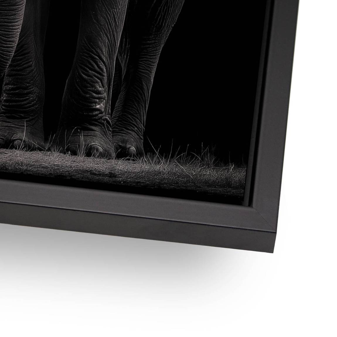 Black Elefant Aluminiumbild gebürstet