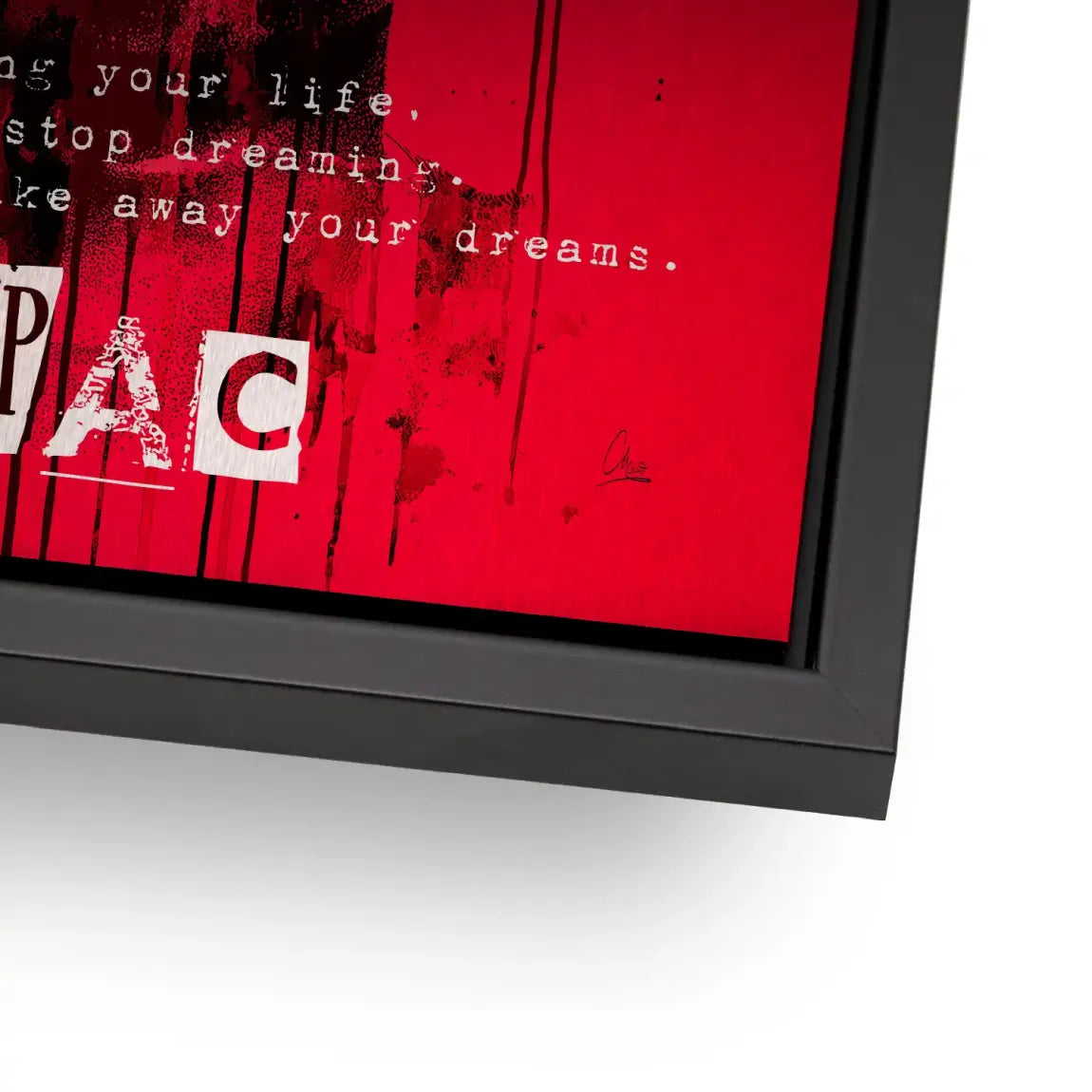 Red Legend Alu Gebürstet Bild