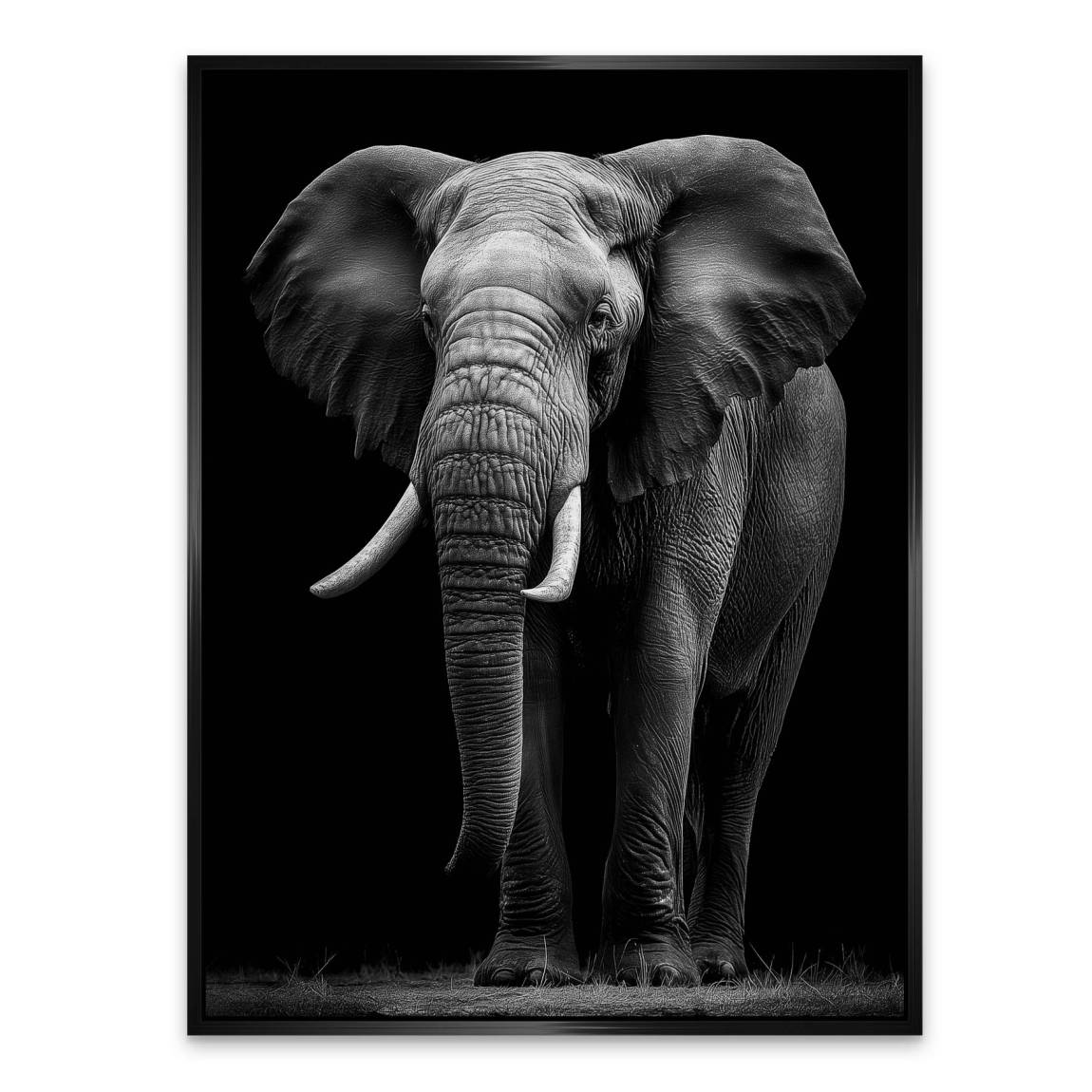 Black Elefant Aluminiumbild gebürstet