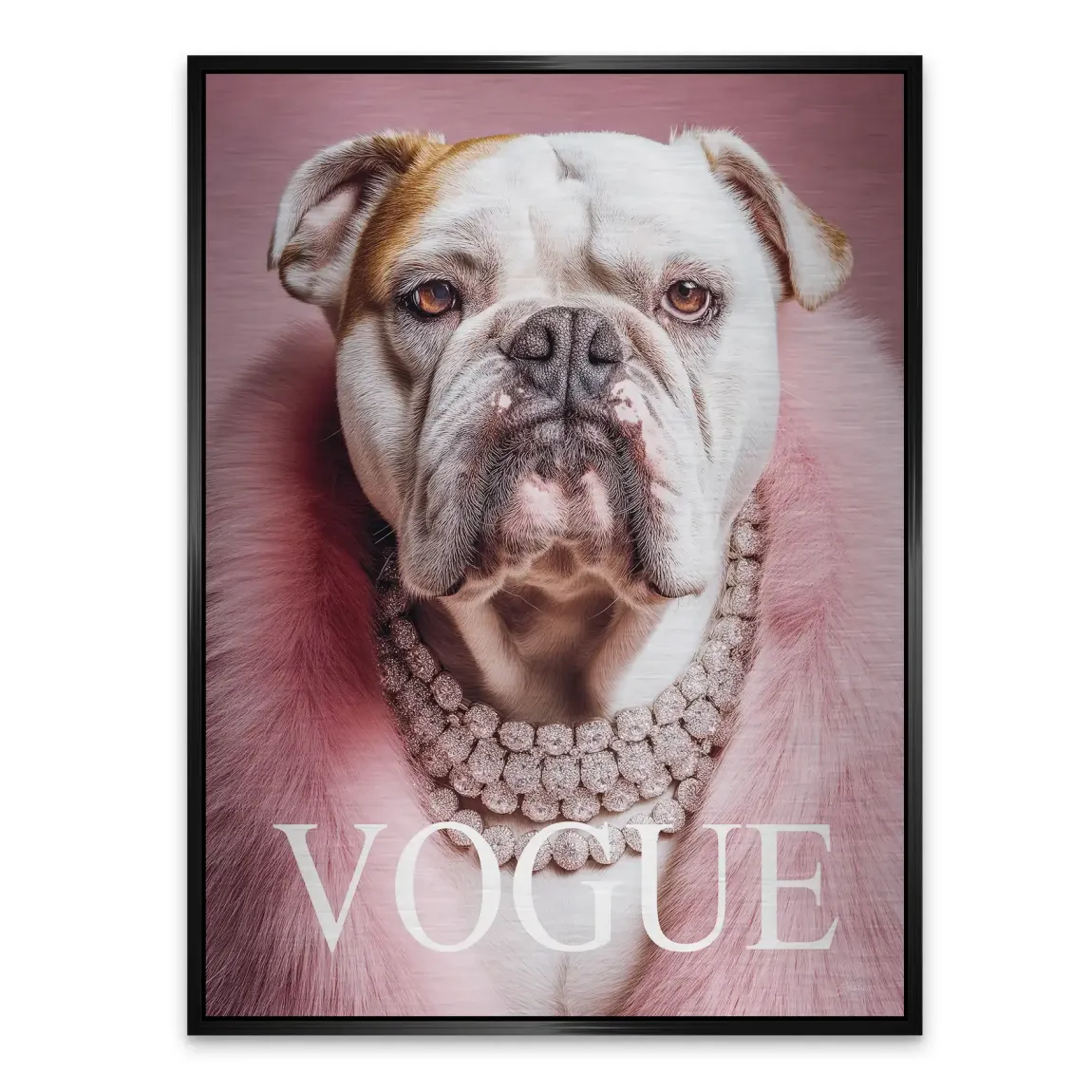 Bulldogge Vogue Alu Gebürstet Bild