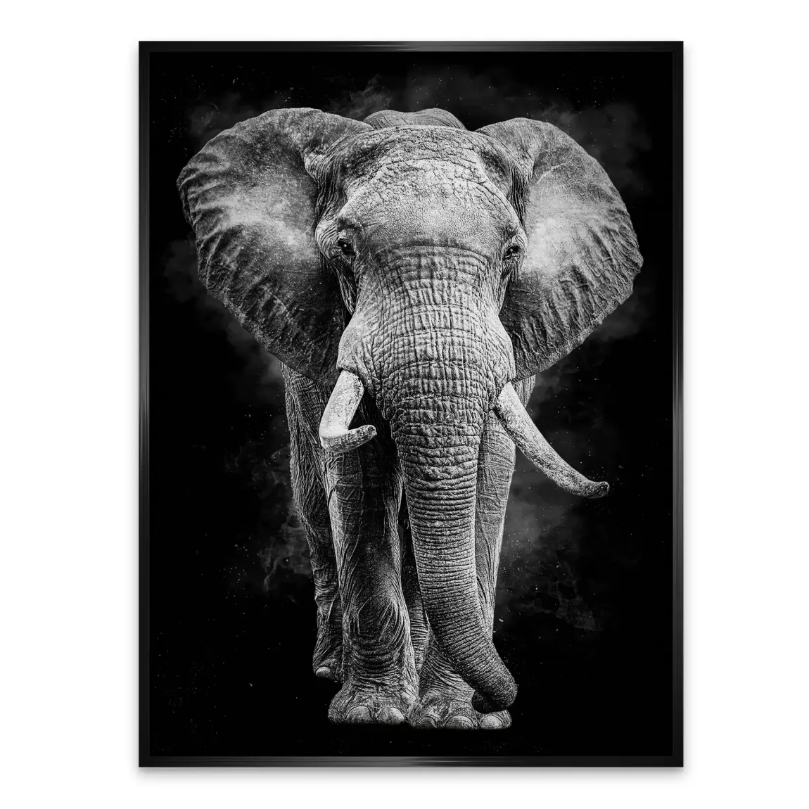 Elefant Noir Aluminiumbild gebürstet
