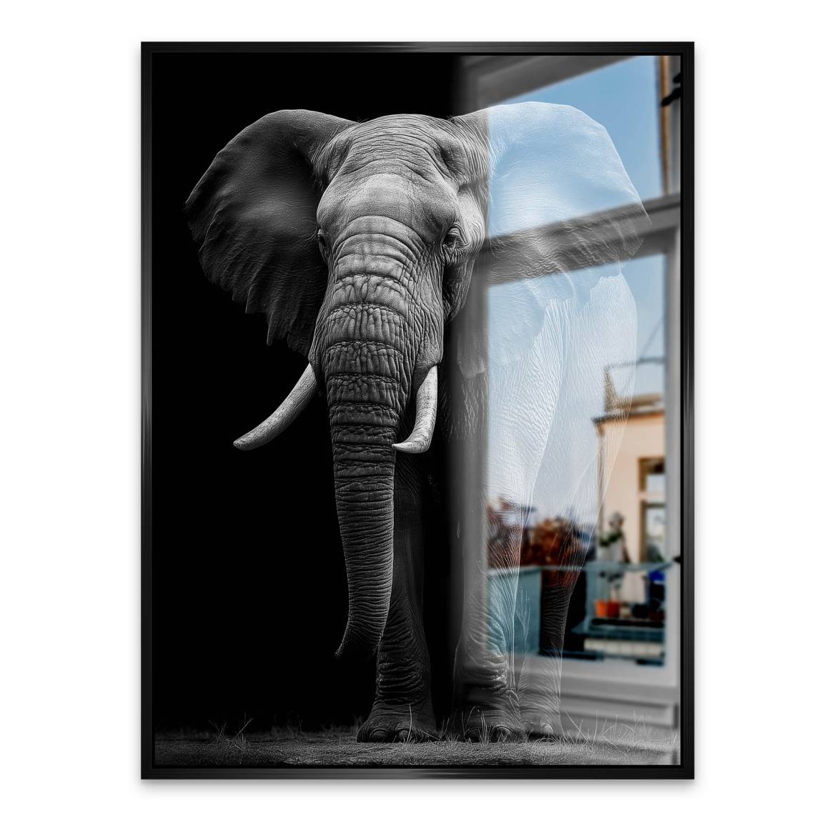 Black Elefant Aluminiumbild gebürstet