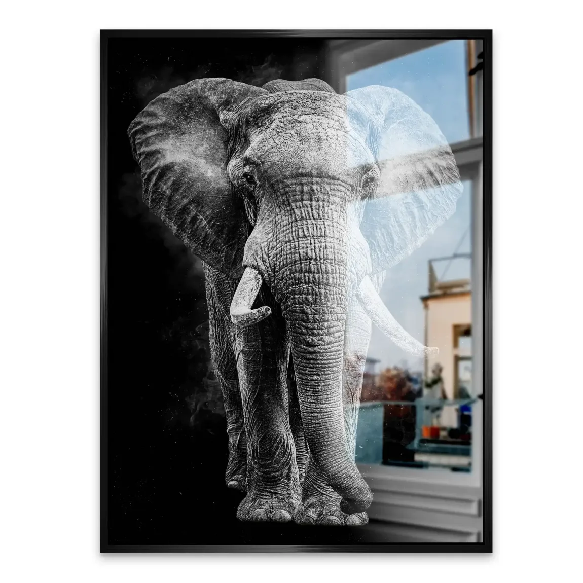 Elefant Noir Aluminiumbild gebürstet
