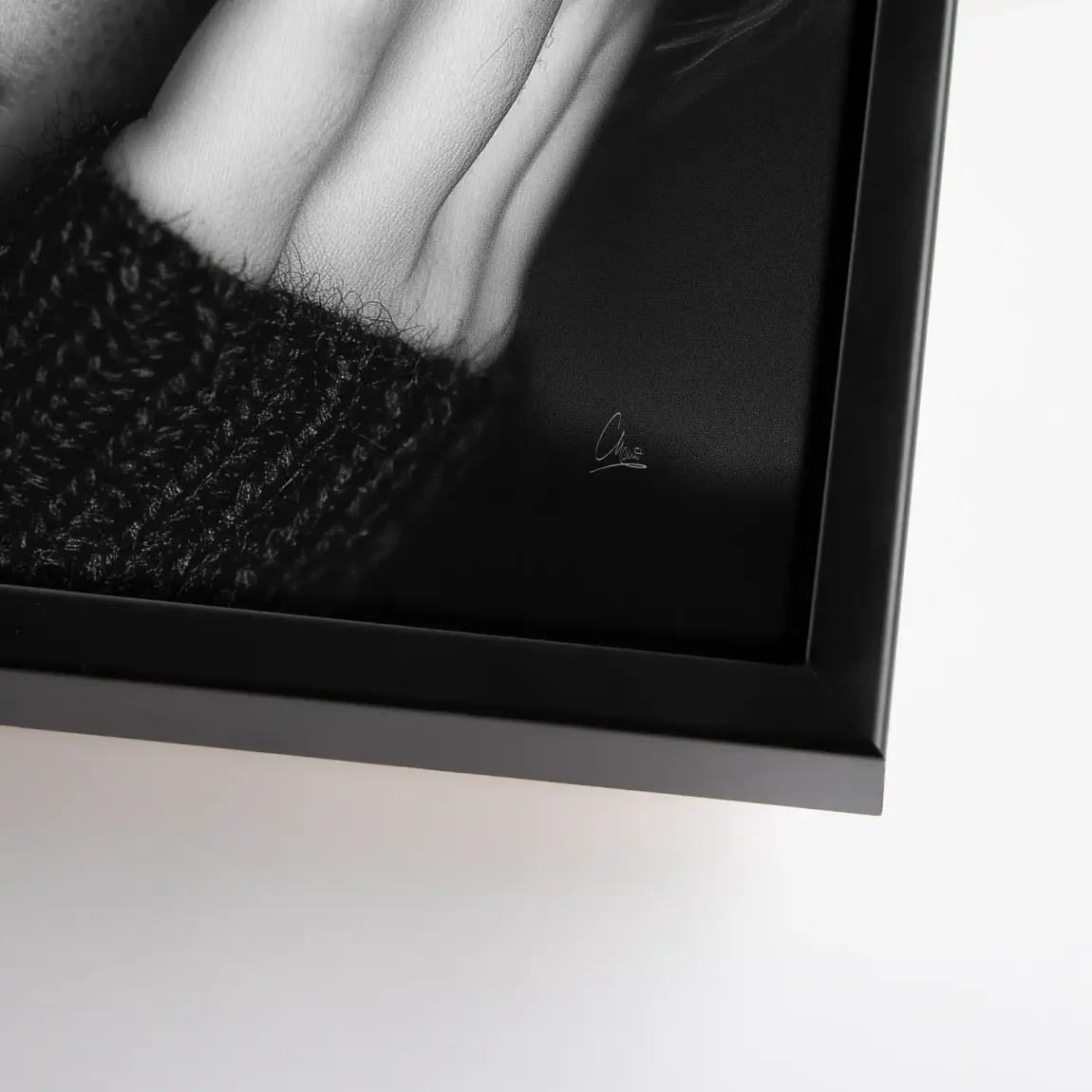 Silent Graze Leinwand Bild