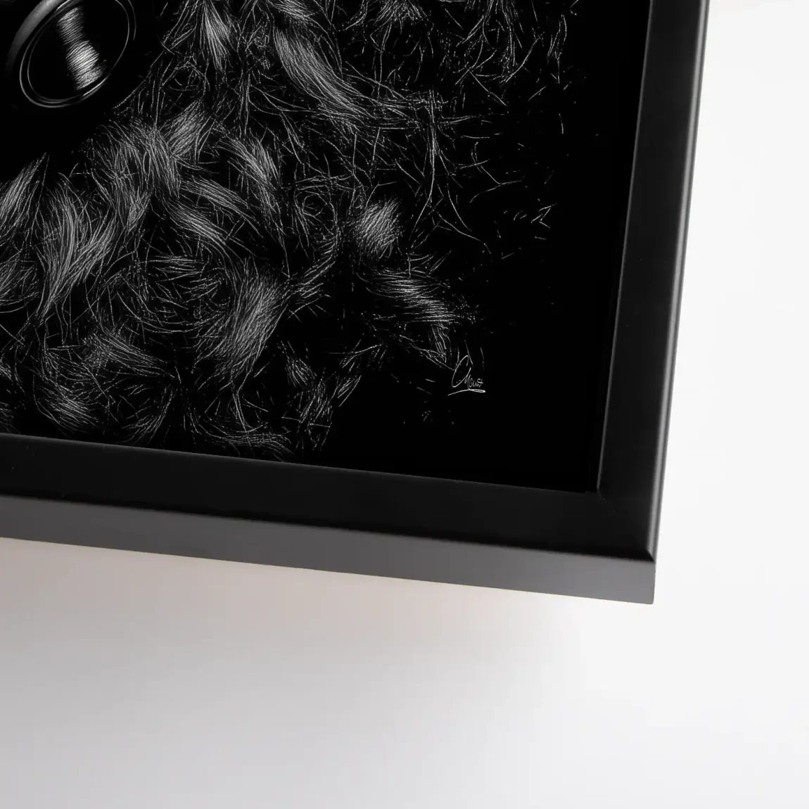 Midnight Harmony Leinwand Bild