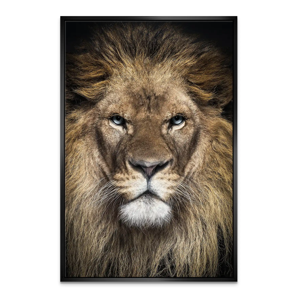 Lion Portrait Leinwand Bild INGALERIE