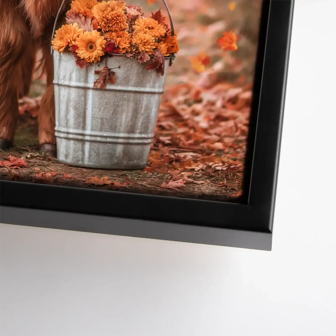 Herbstliebe Highland Leinwand Bild