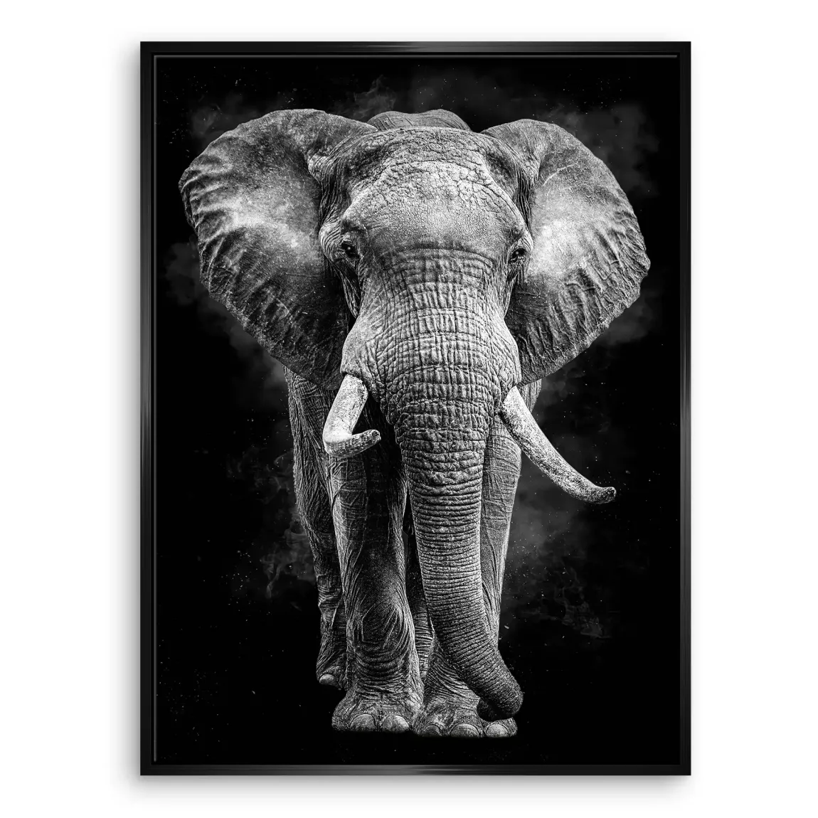 Elefant Noir Leinwand Bild