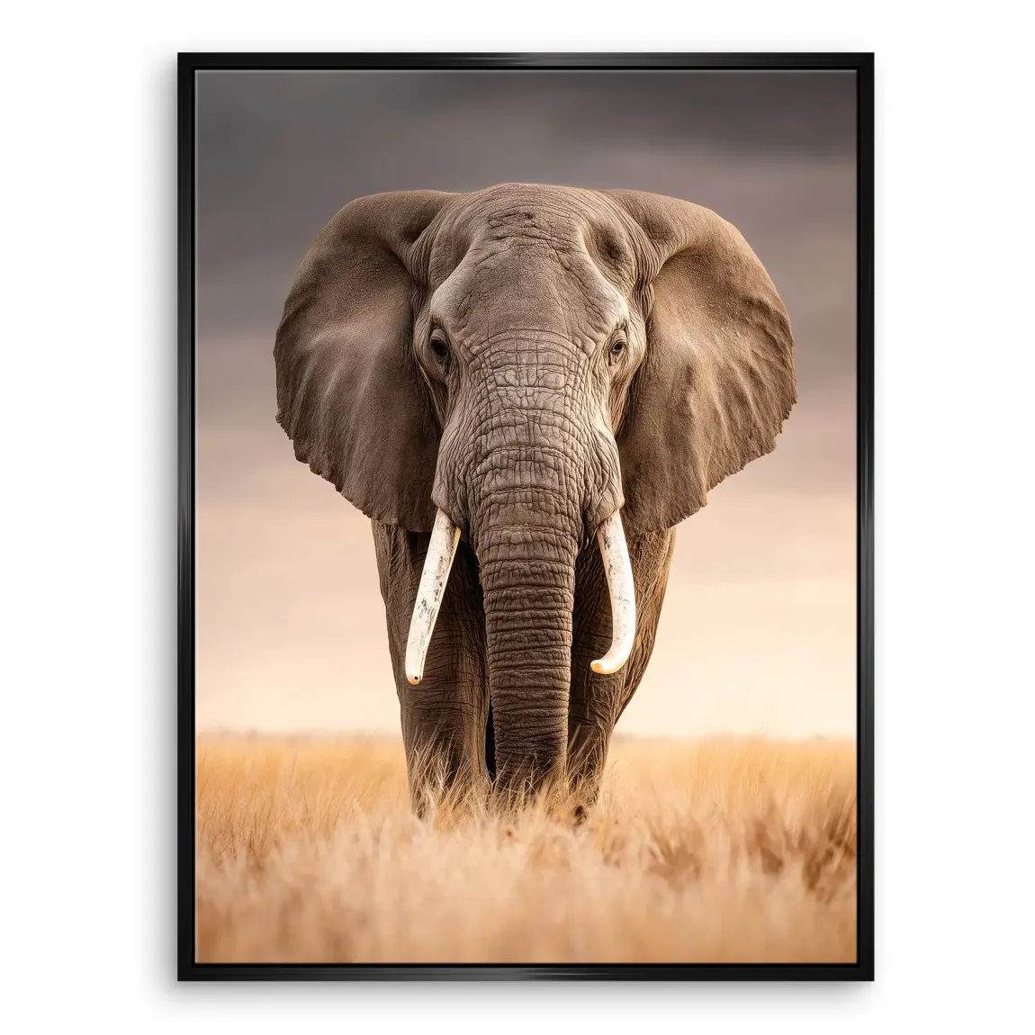 Savanne Elefant Leinwand Bild