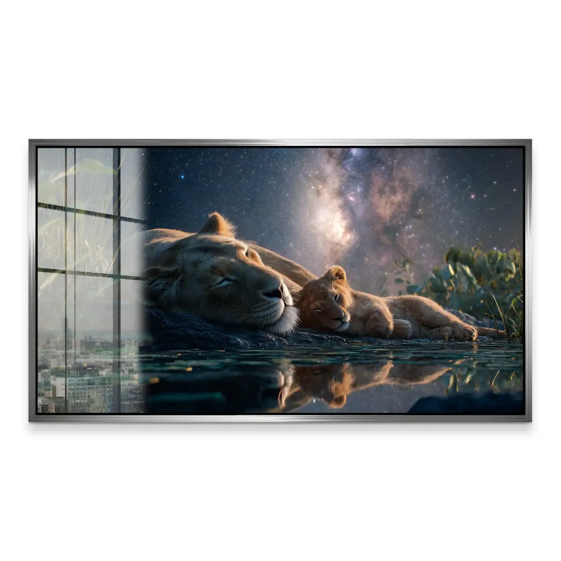 Löwen Serenade Acrylglasbild